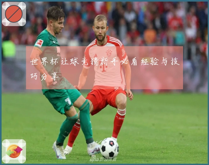 世界杯让球竞猜新手必看经验与技巧分享