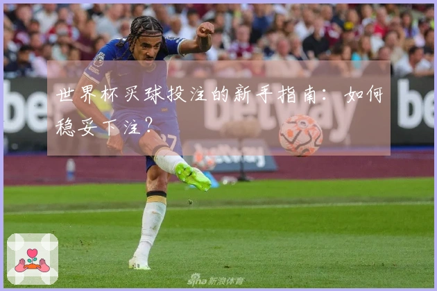 世界杯买球投注的新手指南：如何稳妥下注？