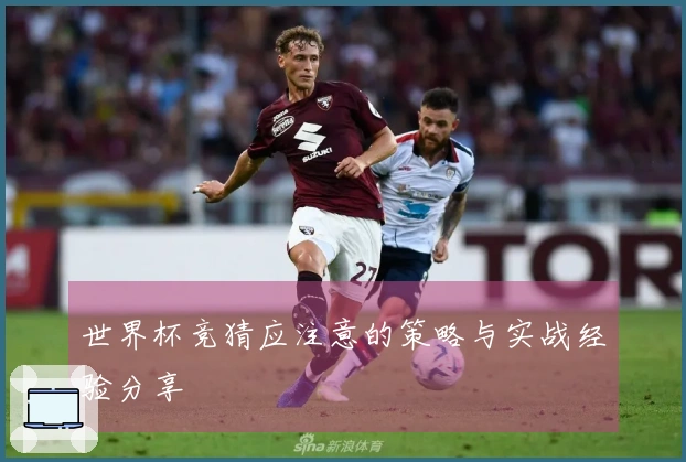 世界杯竞猜应注意的策略与实战经验分享